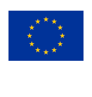 Image: Democracy Interational is co-funded by the EU