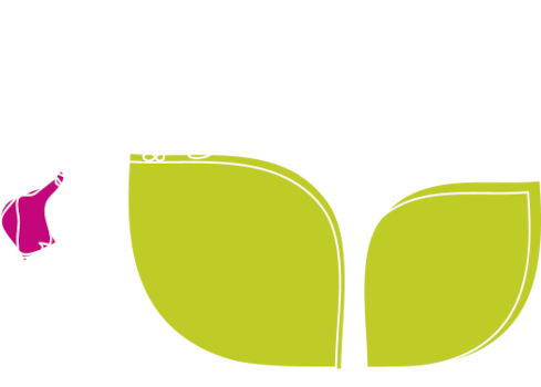 Get active Icon White Website Democracy International