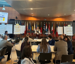 Photo by Democracy International, Daniela Vancic speaking in a workshop during ECI Day